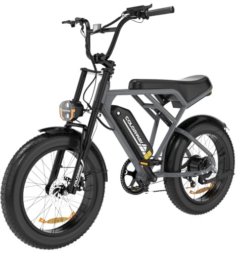 COLORWAYVélo Électrique Adulte Homme 20 Pouces Fat Tire 250W, EBike Homme Puissant Tout Terrain,Pedelec 36V/48V avec Batterie Amovible Grande Autonomie,Double Frein à Disque et Écran LCD Intelligent