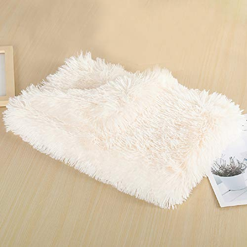 Dricar Doppeilseitige Super Softe Warme Hundedecke, Flauschige Hundedecke Waschbar, Extra Dicke und Weiche Haustierdecke für Hundebett, Couch, Sofa, Es gibt DREI Größenoptionen (78 * 54CM, Weiß)