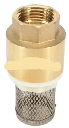 Clapet anti-retour à ressort femelle en laiton 1 BSPT avec filtre à tamis 1,6 Mpa