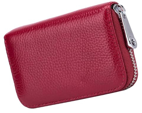 YARNOW Cartera Antirrobo Tarjetero Cierre de Cremallera Estuche para Tarjetas de Crédito Bolsa Portátil para Tarjetas para Usar Viajes