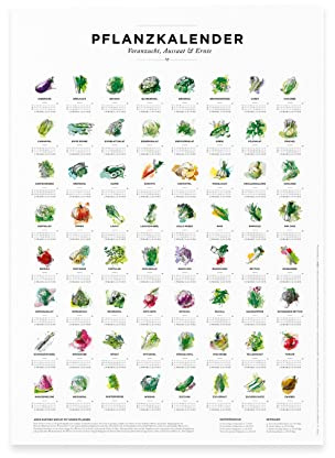 531 Rheinland Design Pflanz- und Aussaatkalender für den Garten, Aussaatperioden für 64 Verschiedene Gemüsesorten, Farbposter mit und ohne Rahmen (nur Poster, 30 x 40 cm)
