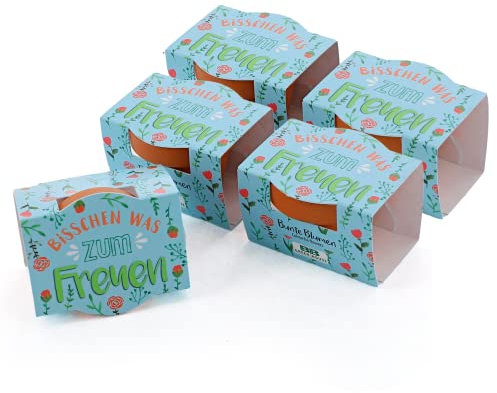 Bull & Bear 5er Set Mini-Pflanzset `Bisschen was zum Freuen´, Blumensamen im Topf 4,5cm, bunte Blumen als Anzuchtset mit Pflegeanleitung