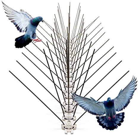 SPIRDS 10 m (20x50 cm) Balkon-Taubenabwehr Dichte Stacheln, Vogelabwehr zum Schutz von Blumenkasten Fensterbank Simse Dach, Taubenabwehr-Spikes rostfreier Stahl, Taubenabwehrspitzen 100 Stacheln/Meter