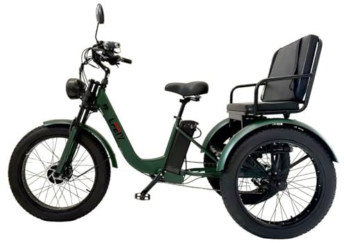 flatpincololee Elektro Dreirad Fahrrad Erwachsene, 3 Räder Kippsicher Design, rutschfeste Reifen 24 20 Zoll, Großer Transportkorb, für Einkäufe, Arbeit, Freizeit und tägliche Mobilität Green