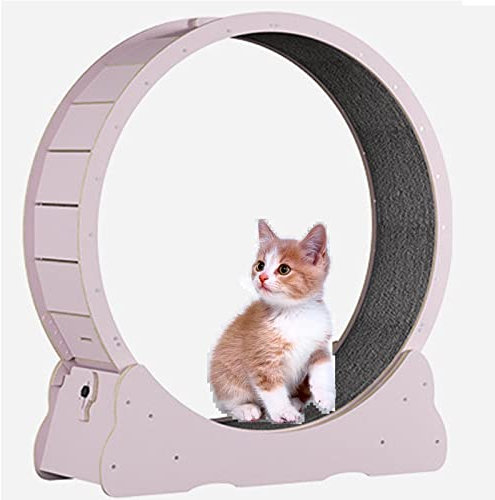 Katzenlaufrad,Katzenspielzeug, Kätzchenspielzeug, Indoor-Katzenspielzeug mit Schloss, Winziger Spalt Und Leise Riemenscheiben Katzenrad, Katzenlaufband Haustier Spielzeug,Pink-XL