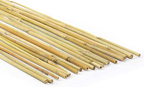 Canne di bambù naturali, per piante, orto, decorazione e arredamento (100, 90 cm/Ø 8/10 mm)