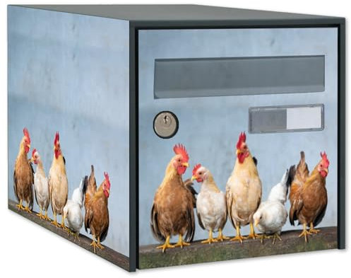 Stickers Boite aux Lettres Poules - Personnalisez et Décorez Votre Boîte aux Lettres - Autocollants Résistants aux Intempéries - Décoration Vinyle Haute Qualité (Face Avant)