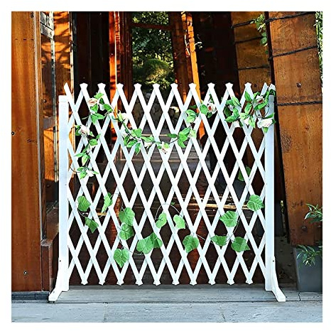 Clôture en bois extensible pour plantes - Grillage autoportant robuste et pliable - Taille réglable - 50 x 160 cm - Pour intérieur/extérieur - Blanc