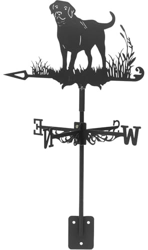 YARNOW Segnavento in Ferro Vintage Resistente alle Intemperie con Indicatore Direzione Vento per Giardino Esterno Cortile e Gazebo Decorazione Pratica e Realistica