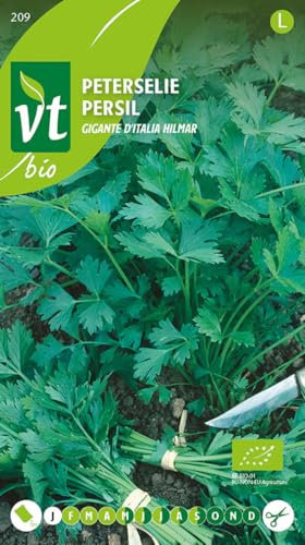 Semillas de perejil Gisante d'Italia Hilmar - Indispensable en la cocina