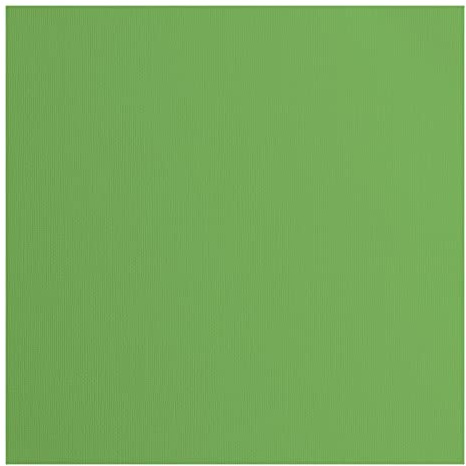 Vaessen Creative Florence Cardstock Papier, Grün, 216 Gramm/m², Quadratisch, 30,5 x 30,5 cm, 20 Stück, Textur, für Scrapbooking, Kartenherstellung, Stanzen und andere Papierbasteleien
