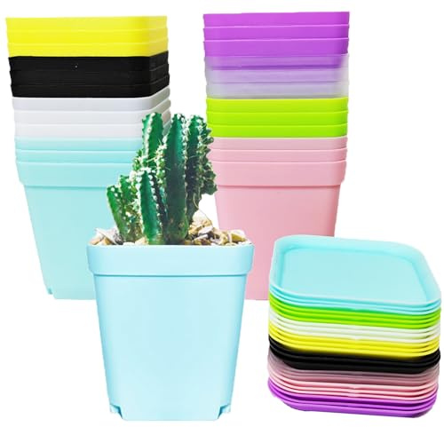 ATB-Foger 24 Pcs Quadratische Bunte Blumentöpfe 7cm Anzuchttöpfe mit Untersetzer Blumentöpfe Plastik für Blumen, Sukkulenten, Setzlinge Garten Büro und Balkon Dekor