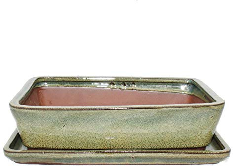 bonsaï Bol avec soucoupe gr. 4 – Rectangulaire G30 – Olive-brown – L 25 cm – L 19 cm – H 6,5 m