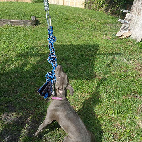 niyin204 Spring Pole Dog Rope Toys With A Big Spring Pole Kit,Rope Tug Of War Toys For Medium Or Large Dogs, Outdoor Hanging Exercise Play Tug War, Extra Durable, Safe