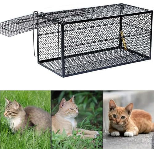 Pgkog Cage Trappe Chat - Piege A Chat Animaux avec Poignée pour Lapins, Chats, Écureuils, Ratons Laveurs Aidant Les Animaux À Rentrer À La Maison