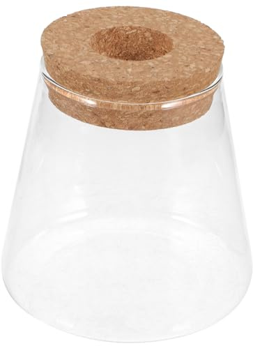 VILLFUL Terrarium Transparent pour Plantes Hydroponiques et Bocal Décoratif Micro Paysage pour Bureau et Maison Design à Surface et Multi Usage