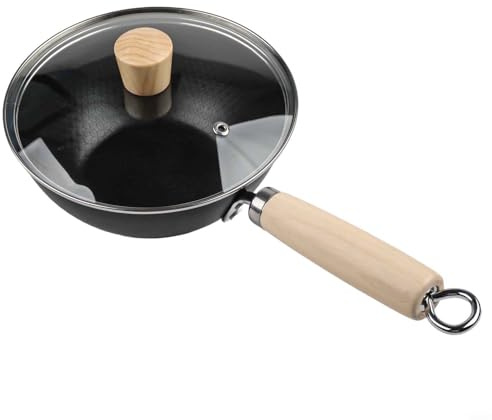 EffiFish Padella in ferro con coperchio in vetro fondo piatto wok per induzione a gas ed elettrici piani cottura casa cucina pentole (22 cm)