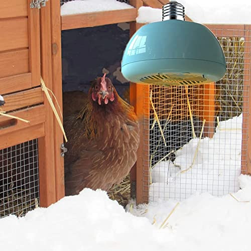 Hanging Chicken Coop Heater, Professional Pet Heater, Outdoor Pet Cage Heater, Animal House Electric Heaters for Chickens, Livestock & Barn Pets