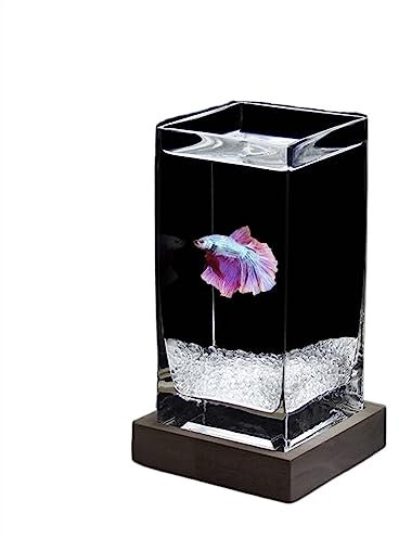 Aquarium Aquarium, quadratisch, hochtransluzent, Kampffischbecken mit Holzsockel, tropisches Aquarium, verdicktes Glas, Desktop-kleines Aquarium Fischtank (Color : White02)
