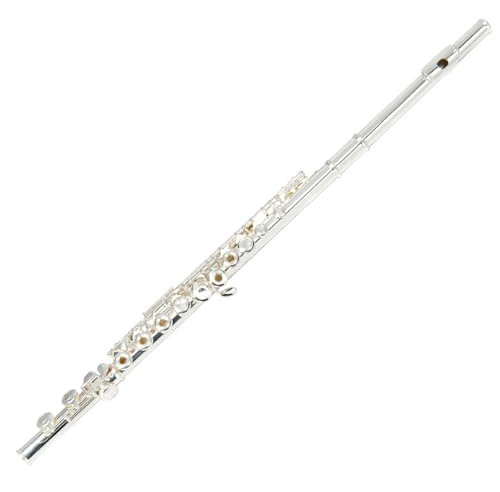 Classic Flûte Traversière Flûte À 16 Trous Ouverte Plaquée Argent Avec Clé En Mi Flûte À Clé En Do Flûte Plaquée Argent Test De Qualité Flûte Pour Débutant