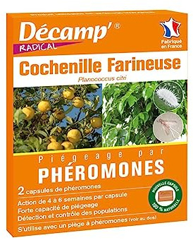 Decamp - Faromona contra las cochinillas harinosas