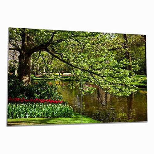 Wallario Herdabdeckplatte/Spritzschutz aus Glas, 2-teilig, 80x52cm mit 13 mm hohen Füßen, für Ceran- und Induktionsherde, Bunte Blumen im Park am Wasser - Frühblüher am Ufer