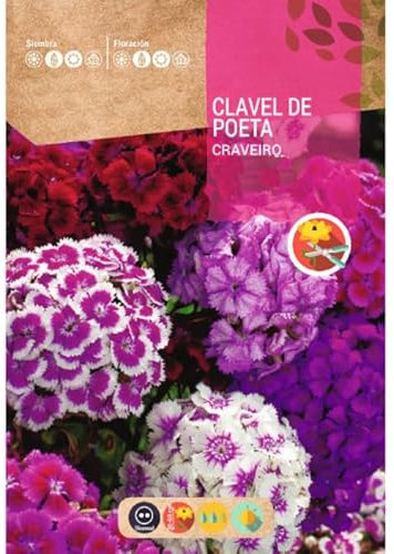 Semillas de Clavel Poeta Mix Color Semillas de Flores muy Variadas