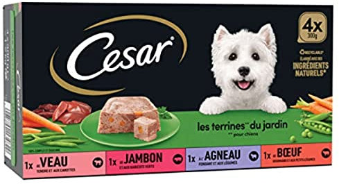 CESAR Barquettes en terrine - 4 variétés - Pour chien adulte - 4 x 300 g