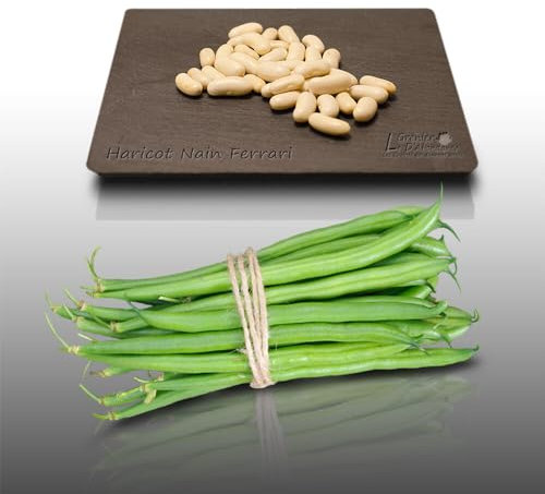 75 grammes de graines à semer - Le Grenier d'Abondance - HARICOT Nain Ferrari - Phaseolus vulgaris
