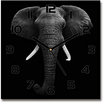 Tulup Horloge en Verre 60x60cm - Silencieuse sur Pied Salon Design La Mur Impression Verre Sécurité - Aiguilles d'horloge Noires - Éléphant d'Afrique