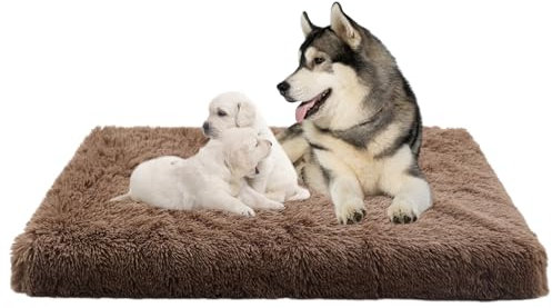 Hundebett Grosse Hunde, Hundekissen Plüsch Waschbar Hundekorb, Anti-Angst Hundebetten Zwinger-Auflage, Orthopädisch Anti-Rutsch Hundesofa Haustierbett Hundematratze Welpen Kissen(100x60x10cm)