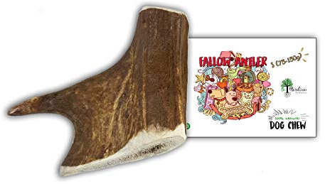 BiMordisco Pet Products Beißring aus Damalgeweih für Hunde, 100% natürlich (S 75-150 g)
