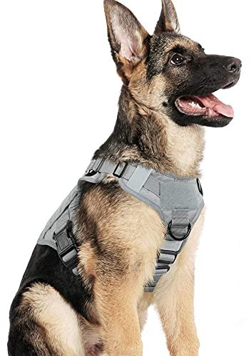 Arnes Großer Hund, No-Pull Arnes Hund, Anti-Zug, Atmungsaktiv, Trainingsweste mit 2 verstellbaren Ringen, mit MOLLE-System zum Training, Jagen, Grau|L