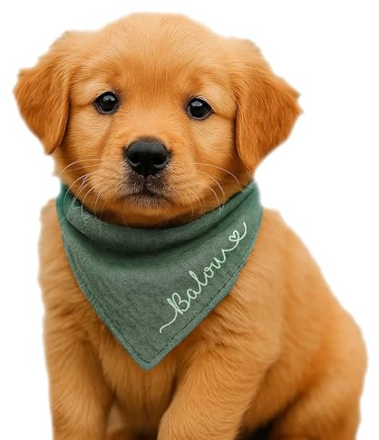 Hunde Halstuch Personalisiert Dreieckstuch aus Musselin Gaze 100% Baumwolle in 3 Grössen erhältlich, mit Namens Personalisierung aus OekoTex zertifiziertem Druckmaterial