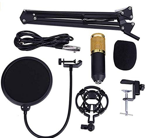 BM-800 Microphone à condensateur et mixeur audio 2 canaux – Ensemble complet d'équipement DJ et studio à domicile pour enregistrement, karaoké et streaming en direct
