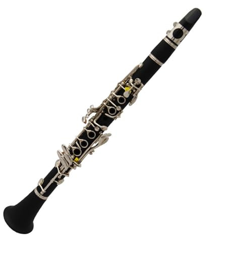 Anfänger Klarinette Holzblas-Klarinetteninstrument ABS Es-Alt-Klarinette Professionelle Klarinette Schwarzes Rohr