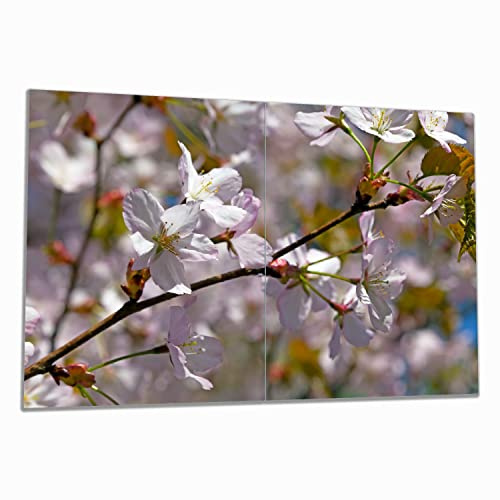 Wallario Herdabdeckplatte/Spritzschutz aus Glas, 2-teilig, 80x52cm, für Ceran- und Induktionsherde, Kirschblüten in zartem Rosa - Frühling im Garten
