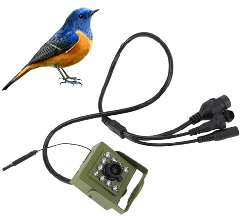 Cuifati Vogelhäuschen-Kamera für den Außenbereich, Intelligente HD-Vogelbeobachtungskamera, Upgrade 10 LED-Nachtsicht-Bewegungserkennung, WLAN-Vogelhauskamera für Birdhouse, (IMX335