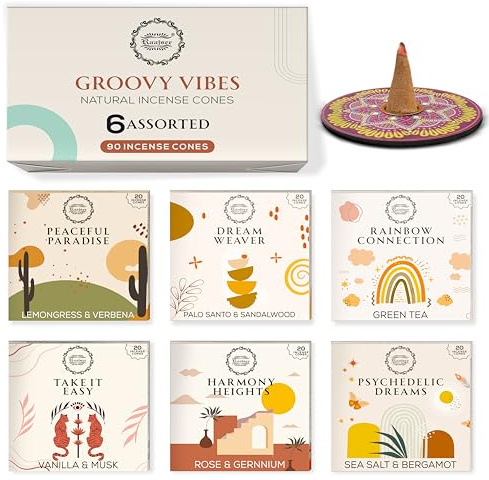 Raajsee Incense Cones, 6 Pack Cone Incense Gift Pack 15 pc Each (90 Total), Insence Cones Variety Pack, 100% Organic Non Toxic Natural