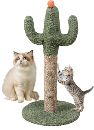Griffoir cactus pour chaton – 60 cm – Bâton d'escalade en flanelle de sisal – Station de divertissement verticale à suspendre – Structure de soin des ongles félins | Condo Studio Lounge Nursery Rest