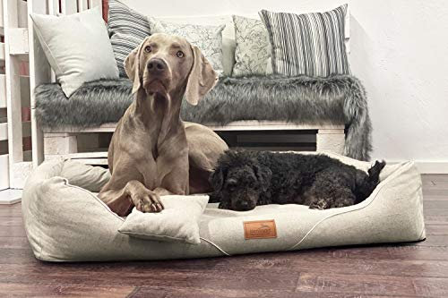 tierlando® Orthopädisches Hundebett William Couture | Bequemes Hundebett | Waschbar | Memory Foam | Kuscheliges Hundesofa XL+ | Creme
