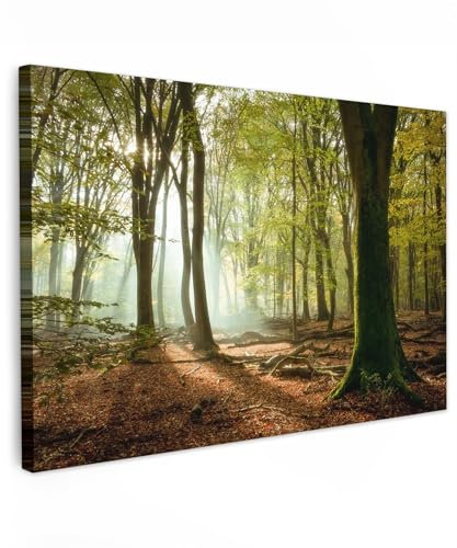 MuchoWow© Leinwände Groß 120x80 cm XXL Wall Decoration Bilder Schlafzimmer Deko Pictures Canvas Painting Wanddekoration Wohnzimmer Wald - Licht - Natur - Landschaft - Bäume