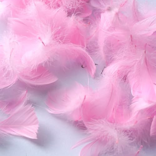 AQCQDQ 600 Stück Bunte Feder Schmuckfedern Vogelfedern Deko Federn Blau Bastelfedern für DIY Kunstwerk Hüte Ohrringe Haarschmucken Traumfänger Weihnachten Dekofigur (600 Stück,Rosa)