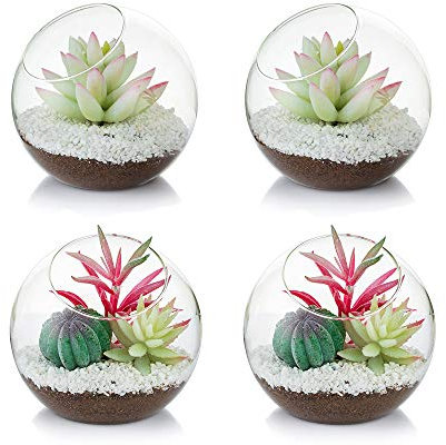 Glasseam Verre Terrarium 12 cm, 4 Pcs Petit Terrarium en Verre, Vase Pot Décoration Intérieure pour Succulentes, Cactus, Bougie - Verre Borosilicaté, Élégante et Moderne, Idéal pour Intérieur