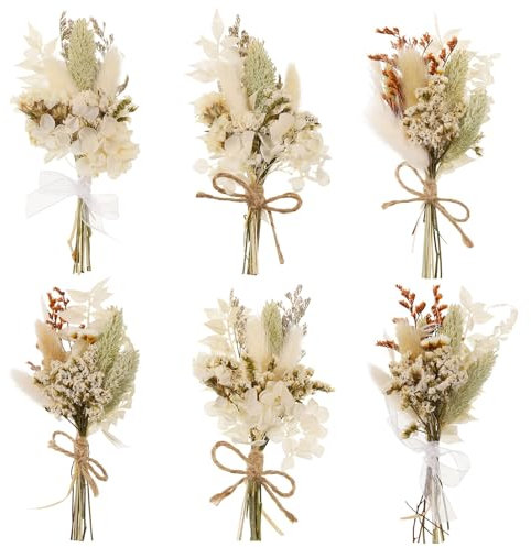 Livdouyu 6 Bündel Trockenblumen Klein, Trockenblumen Weiß, Trockenblumen Zum Basteln Trockenblumenstrauß Klein für Bilderrahmen Kunst DIY Harz Handwerk