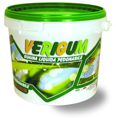 VERIGUM Guaina Liquida Pedonabile Trasparente Kg 4