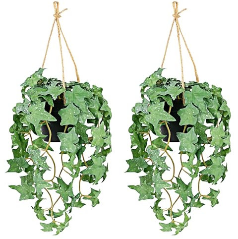 beijieaiguo 2 Pcs Artificial Hanging Plants with Pot Faux Ivy Leaves Vines Fake Plastic Vines Leaves Hanging Plants Indoor and Outdoor Shelf Wedding Garden Table Hanging Basket Wall Decorations