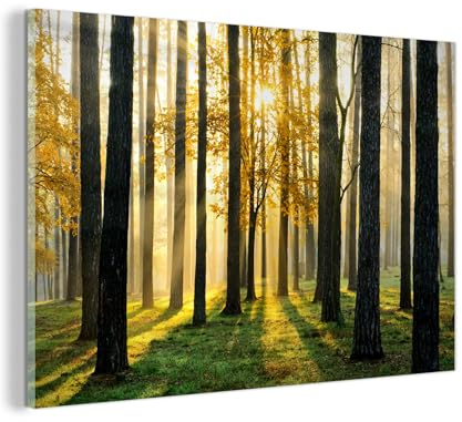 MuchoWow© Glasbilder Wohnzimmer Deko Modern Wandbild Kunstdruck auf Glas | 120x80 cm - Bild Schlafzimmer über Bett Room Decor Geschenke Wald - Gras - Sonne - Bäume - Landschaft - Natur