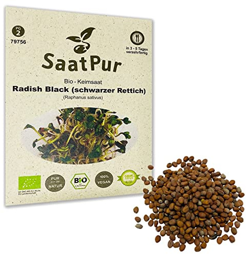 Radish Black BIO Keimsprossen von SaatPur - schwarzer Rettich Sprossen/Microgreen - 50g