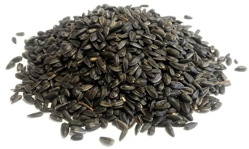 Black Sunflower Seed 5kg Premium Wild Bird Food